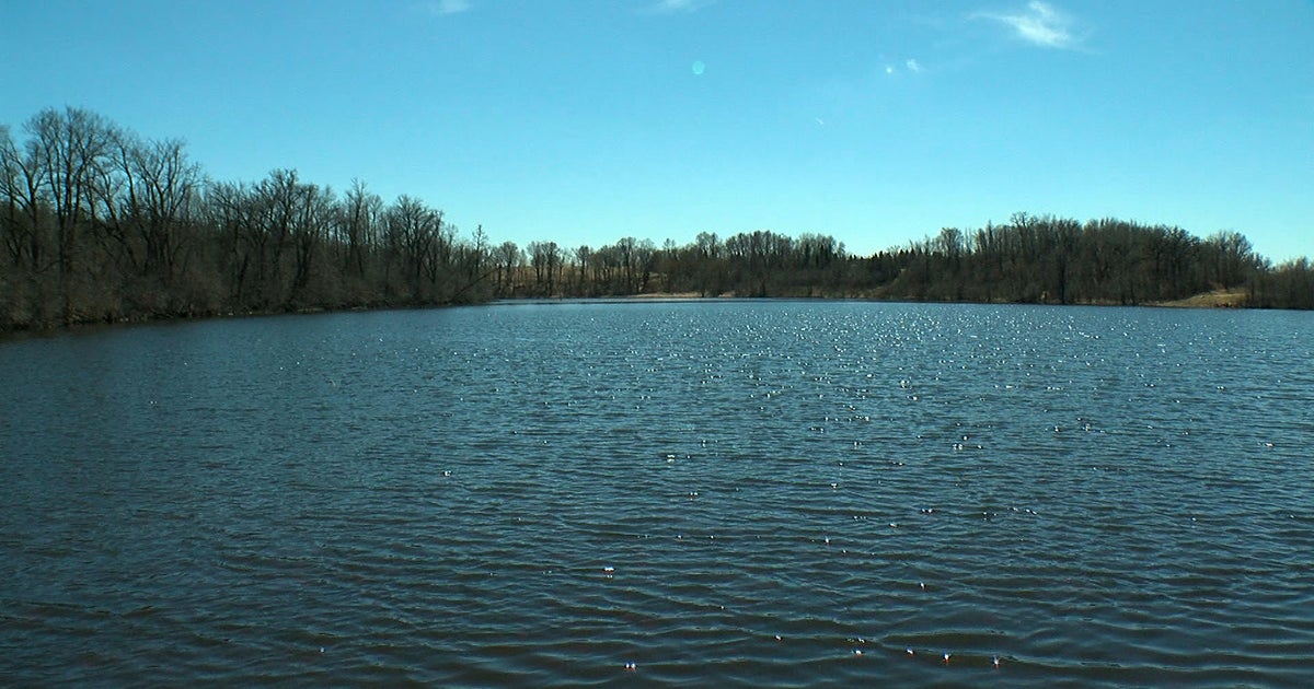 Effort Underway To Manage Invasive Goldfish In Chaska Lakes CBS Minnesota