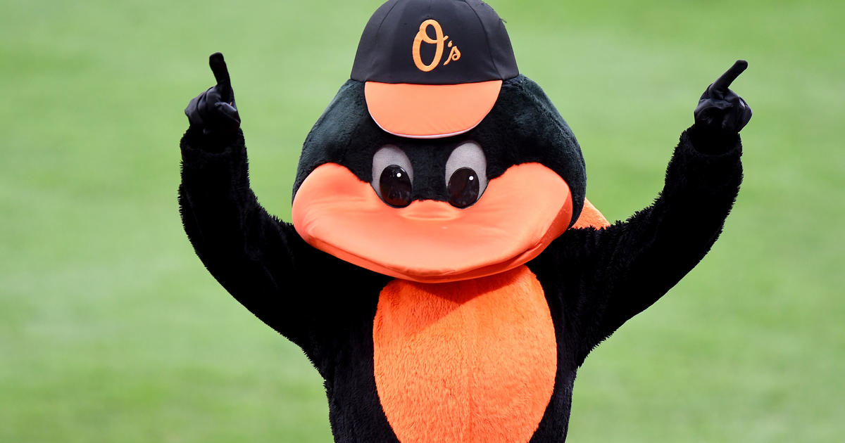 The Oriole Bird - Baltimore Orioles 