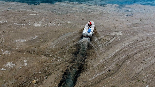 TOPSHOT-TURKEY-SEA-ENVIRONMENT 