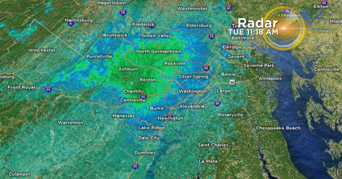 Cicadas Likely Captured On Weather Radar In Maryland As Peak Season