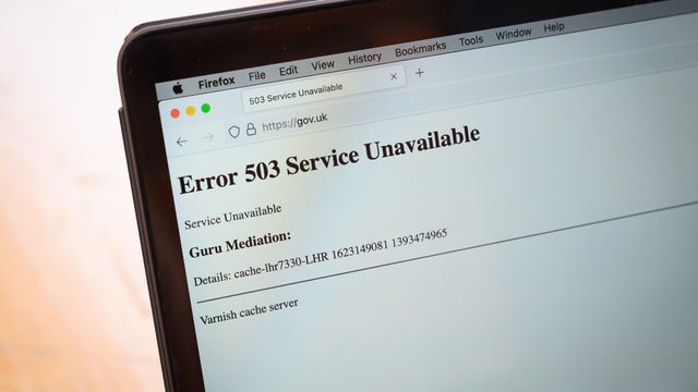 Media And Government Websites Temporarily Offline 