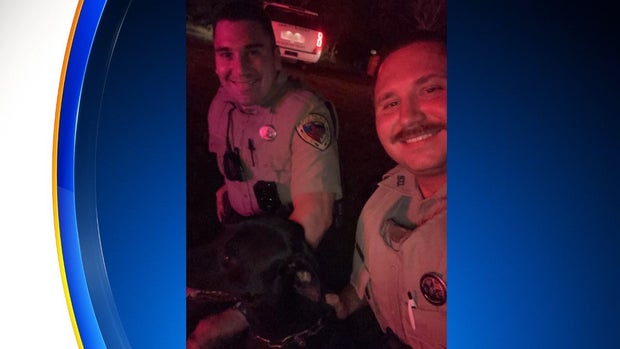 Dog in Parker Co fire 2 