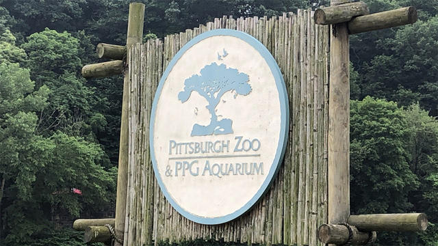 pittsburgh-zoo-and-ppg-aquarium.jpg 