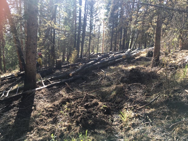 straight creek mop up 2 (usfs david boyd) 