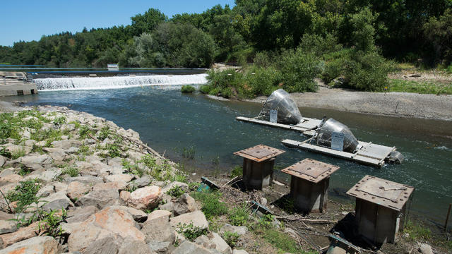 Russian-River-dam-2.jpg 