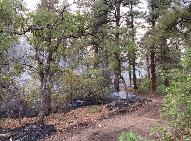 vosburg pike fire (USFS) 