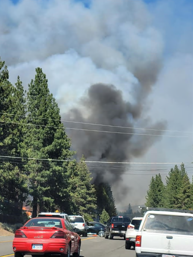 portola -rebecca-guerra 