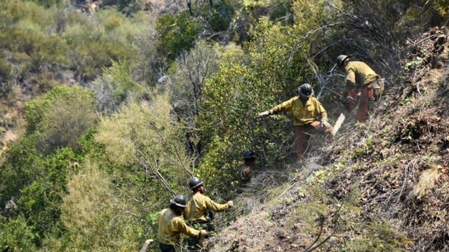 willow_fire_monterey_big_sur_062321_01.jpg 