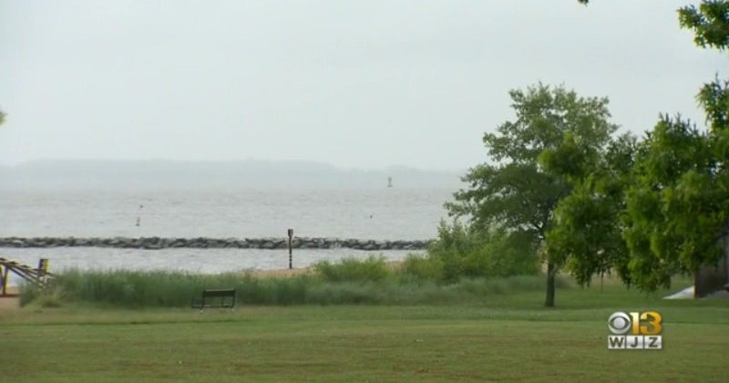 Maryland, bay states criticized before environmental meeting - Vimarsana News