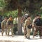 How U.S. and Afghans failed to adequately train Afghan security forces