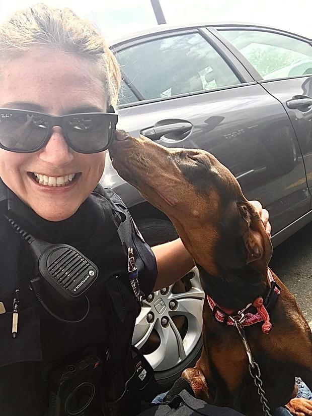 dog rescued from hot truck credit loveland pd 