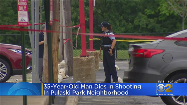 PulaskIParkShooting.png 