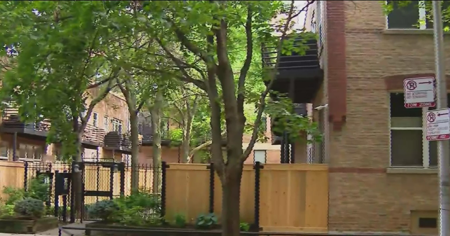 2 Women Carjacked At Gunpoint On Street In Bucktown; Incident May Be ...