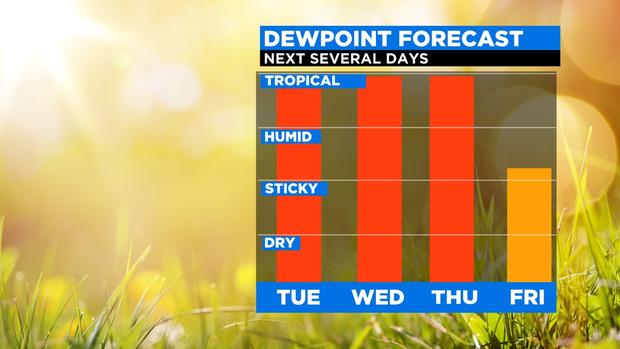 2021 PM DEWPOINT FORECAST 