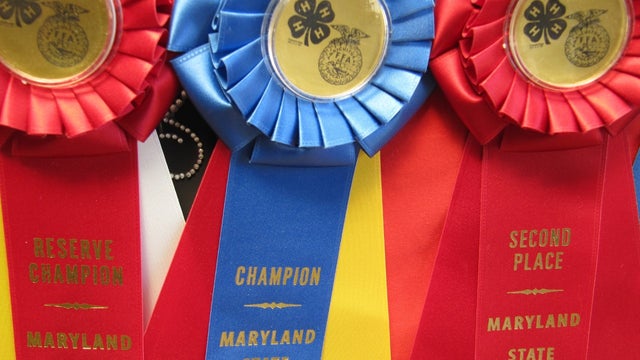 thumbnail_MD-State-Fair-Ribbon-Photo.jpg 