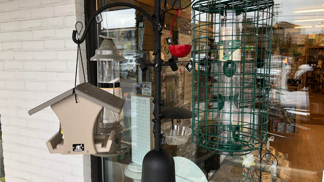 bird-feeders.png 
