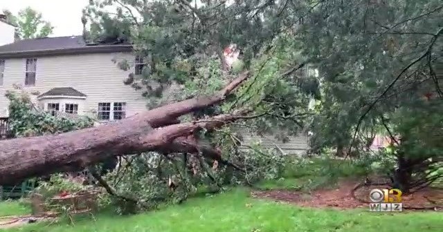 Maryland Weather: Severe Storms Thursday Leave Behind Damage & Power ...