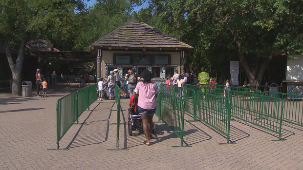 COVID-19 vaccine at Fort Worth Zoo