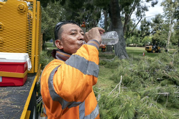 Tree trimmers work in the heat in Southern California 