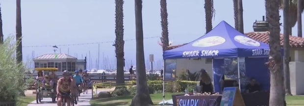 Cal State Long Beach Researchers Working To Educate Public On Sharks 