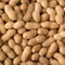 Peanut allergies skin patch for toddlers shows promise in trial
