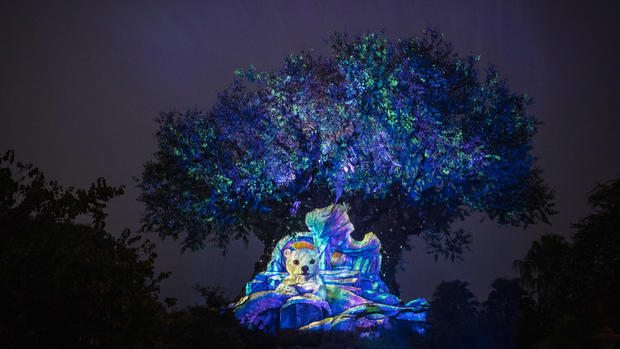 Holiday Tree of Life Awakenings at Disney's Animal Kingdom Theme 
