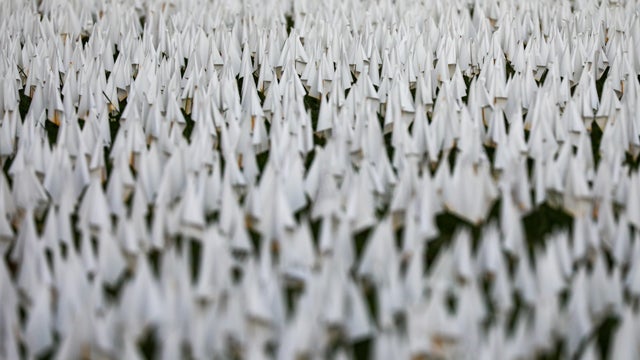 Art installation of white flags in Washington for the staggering loss of Covid-19 