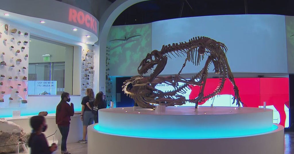 New Charter School Opening For Kids At Fort Worth Museum Of Science And