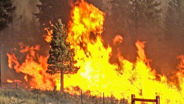 Flames Explode on the Fire Line of the Tamarack Fire Near Markleeville 