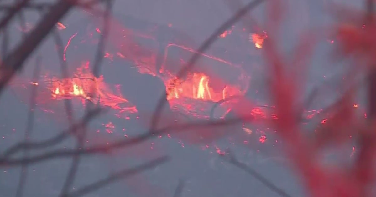 Crews Battle Early Morning Fire Along American River Parkway - CBS ...