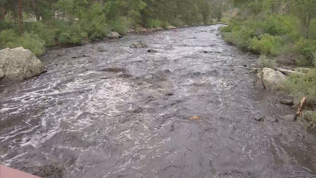 CAMPERS REAX 5VO.transfer_frame_32 