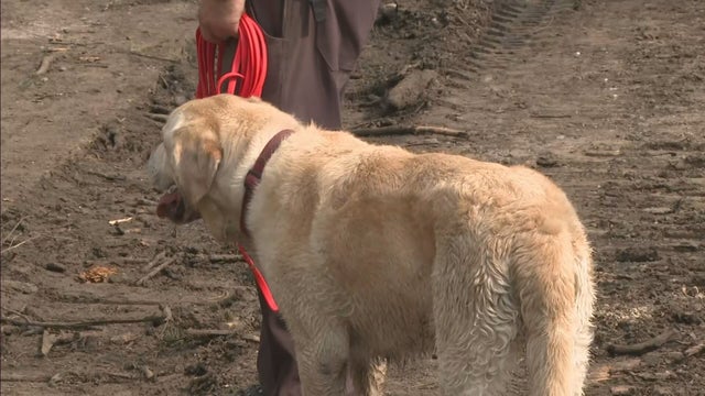 POUDRE CANYON SEARCH 10PKG.transfer_frame_331