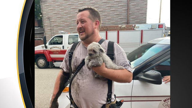munhall-puppy-rescue.png 