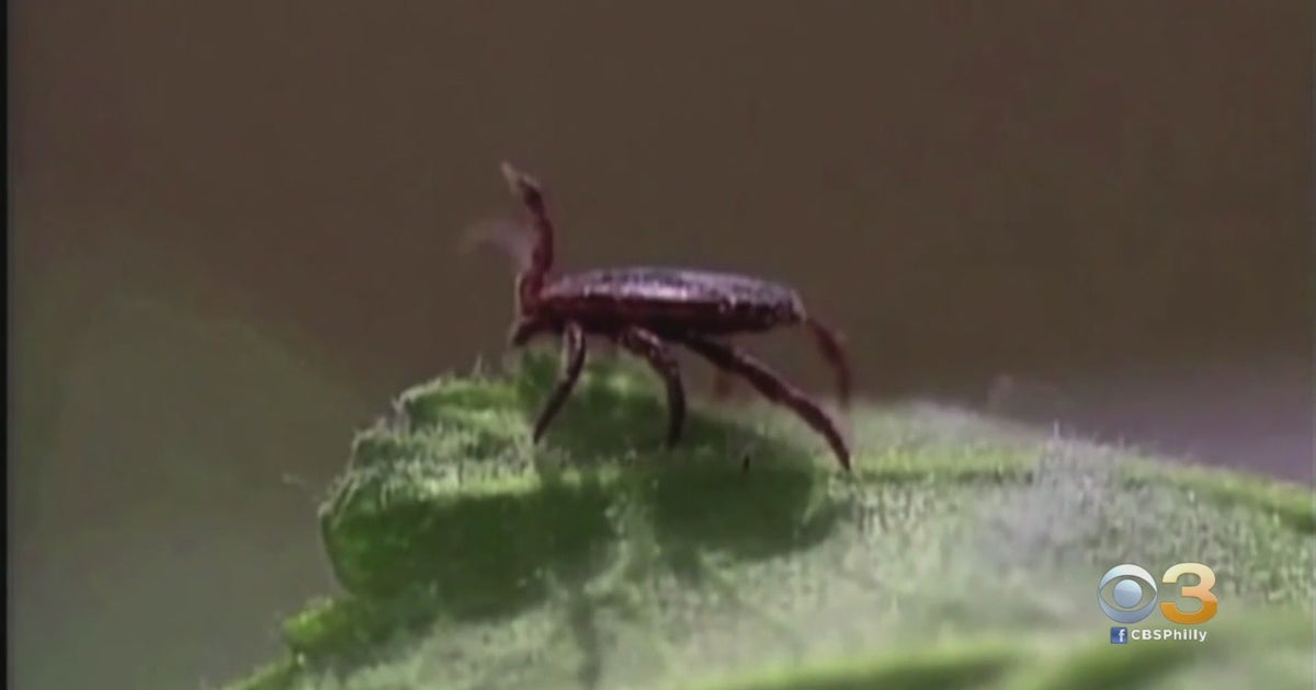 Pennsylvania Health Officials Seeing Increase In TickBorne Diseases