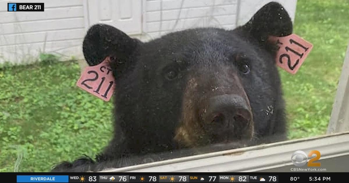 Just realized this is the same guy who went viral for crying when the Bears  lost featured in the schedule release video : CHIBears