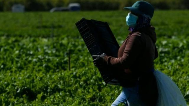cbsn-fusion-farmers-face-excessive-heat-exposre-due-to-climate-change-thumbnail-762387-640x360.jpg 