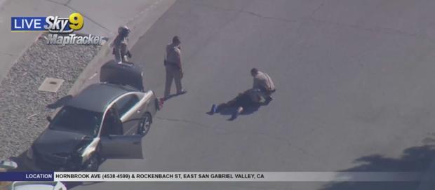 Wild Pursuit Comes To An End In Baldwin Park 