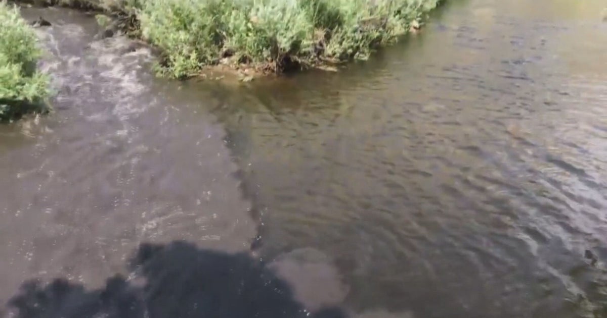 Video Shows Impact Of Cameron Peak Fire On Poudre River - CBS Colorado