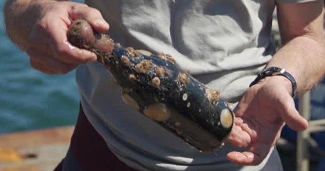 Wine cellar in the sea CBS News