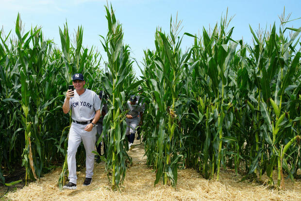 Yankees, White Sox - Field of Dreams 