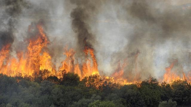 cbsn-fusion-climate-change-wildfires-extreme-weather-latest-jeff-berardelli-2021-08-12-thumbnail-770963-640x360.jpg 