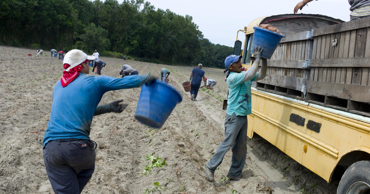 La nueva y dura ley de inmigración de Florida podría provocar escasez de mano de obra