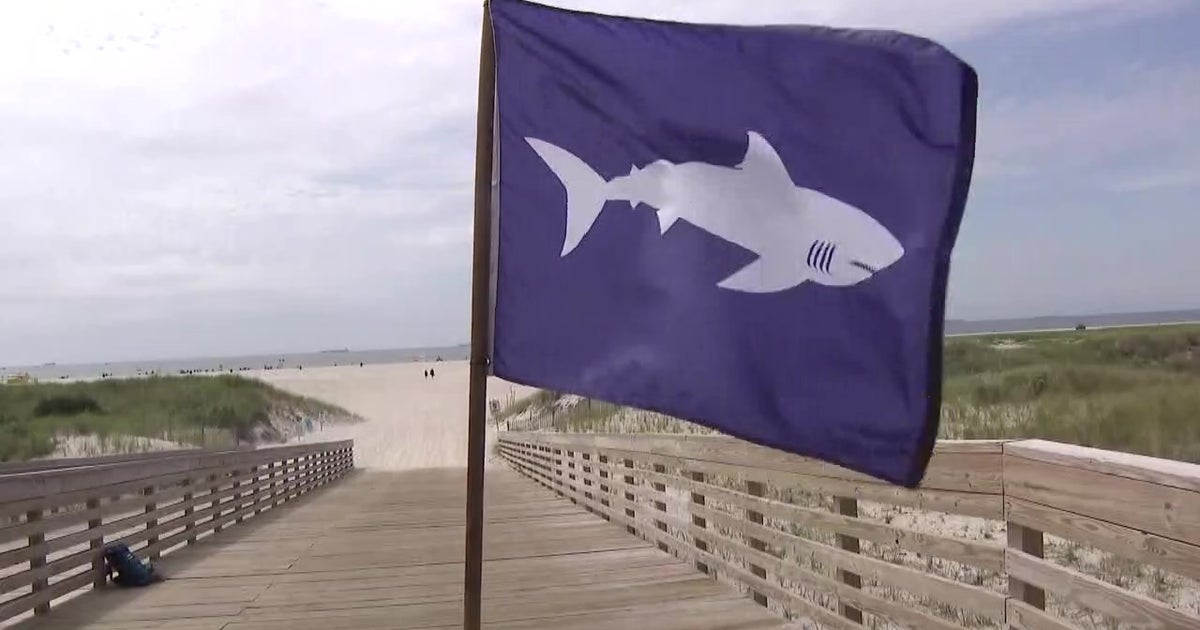 After Record Number Of Shark Sightings, New Flag Warning System At