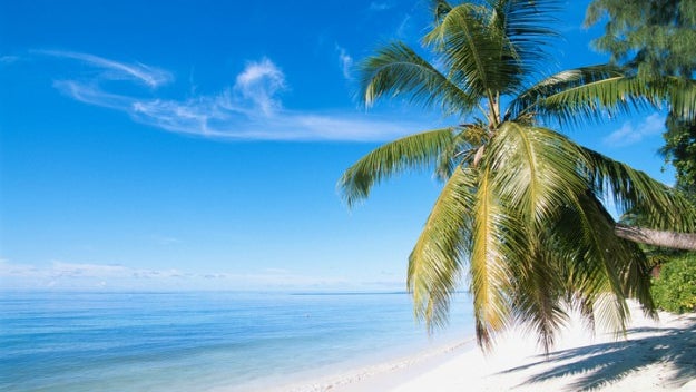 tropicbeach-1.jpg 