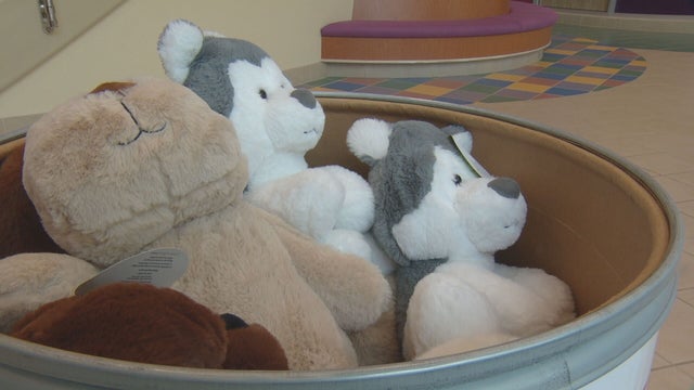 Teddy Bear Donation DA raw 01 concatenated 104832_frame_43322 