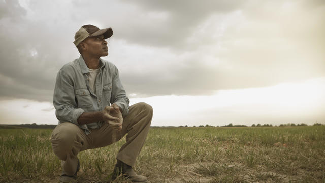 African American farmer checking dirt in field 