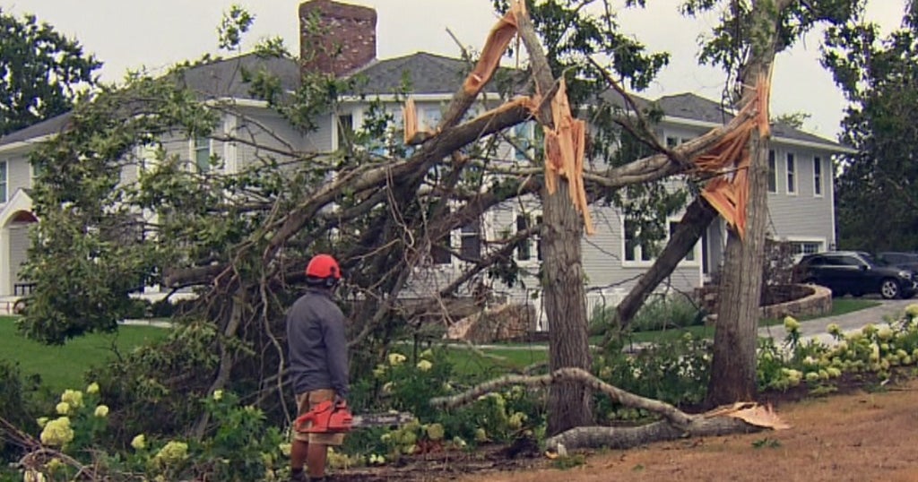 National Weather Service Confirms EF-0 Tornado Touched Down In Dennis ...