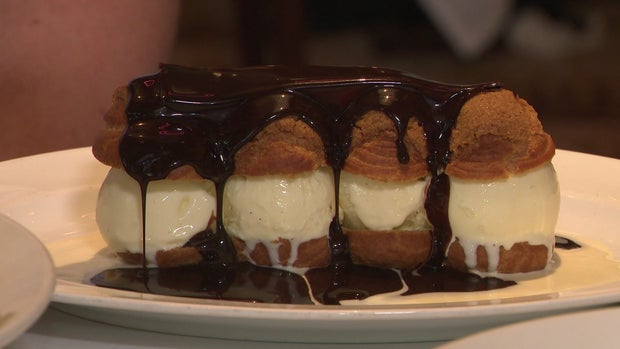 Taste of the Town Le Zoo 