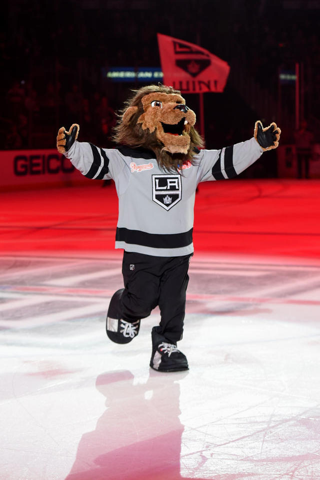 La kings mascot Bailey  Kings hockey, La kings hockey, La kings