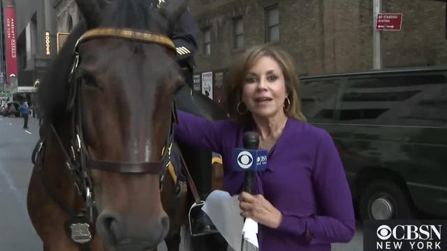 NYPD-Mounted-Unit.jpg 